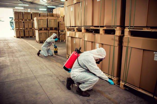 Reliable Centerville, MN Pest Control Solutions