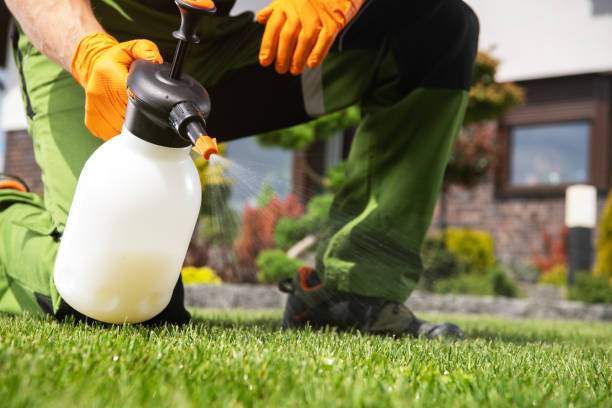 Best Wasp Removal Services  in Centerville, MN