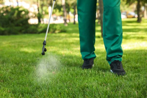 Best Pest Removal Services  in Centerville, MN