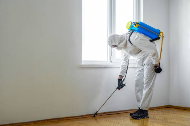 Best Flea Control Services  in Centerville, MN