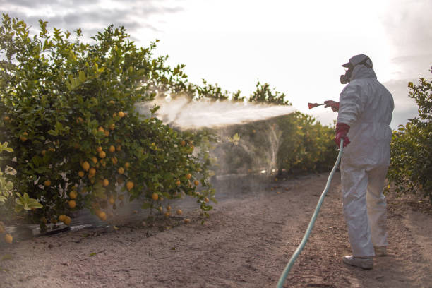 Best Local Pest Control Services  in Centerville, MN