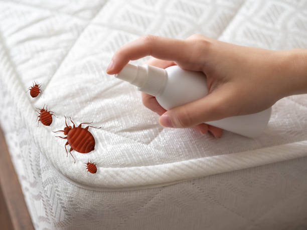 Best Exterminator Services  in Centerville, MN
