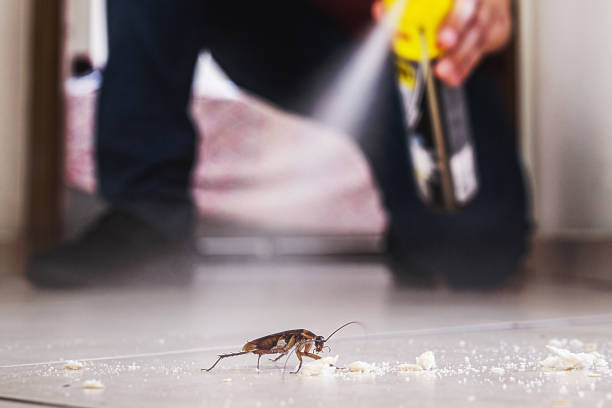 Best Mosquito Control Services  in Centerville, MN